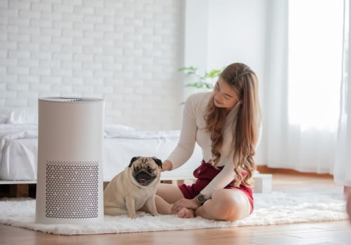 Allergen-Free Area: Best Home HVAC Air Filters for Allergies